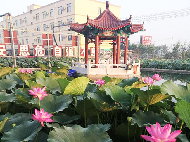 廠(chǎng)區一角