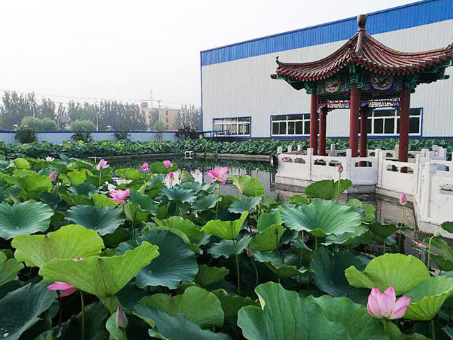 廠(chǎng)區環(huán)境